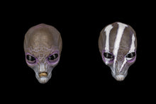 Load image into Gallery viewer, COMBO PACK - Greyborn Heads and Aius Cyppiteon