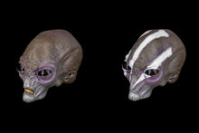Load image into Gallery viewer, COMBO PACK - Greyborn Heads and Aius Cyppiteon