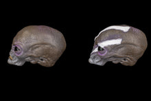 Load image into Gallery viewer, COMBO PACK - Greyborn Heads and Aius Cyppiteon