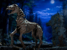 Load image into Gallery viewer, PRE-ORDER - Skeleton Steed Legion Builder