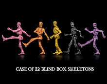 Load image into Gallery viewer, PRE-ORDER - BLIND BOX GRAVEYARD SKELETONS - 12-PACK BOX!
