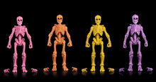 Load image into Gallery viewer, PRE-ORDER - BLIND BOX GRAVEYARD SKELETONS - Single Box
