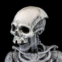 Load image into Gallery viewer, PRE-ORDER - GRAVEYARD SKELETONS 4-pack set
