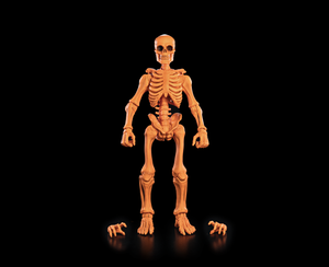 PRE-ORDER - BLIND BOX GRAVEYARD SKELETONS - Single Box