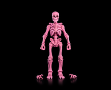 Load image into Gallery viewer, PRE-ORDER - BLIND BOX GRAVEYARD SKELETONS - Single Box

