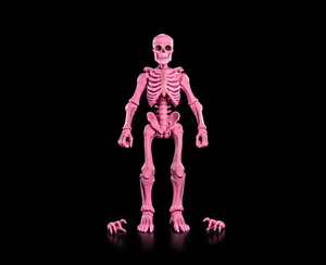 PRE-ORDER - BLIND BOX GRAVEYARD SKELETONS - Single Box