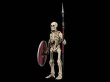 Load image into Gallery viewer, PRE-ORDER - Skeleton Legion Builder 3
