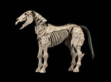 Load image into Gallery viewer, PRE-ORDER - Skeleton Steed Legion Builder
