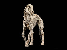 Load image into Gallery viewer, PRE-ORDER - Skeleton Steed Legion Builder
