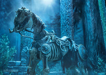 Load image into Gallery viewer, Conabus (Horse)
